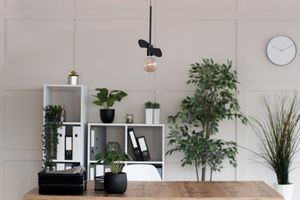 Классификация светильников по конструкции – подвесные и потолочные,  люстры и пауки фото