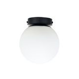 Бра (светильник настенный) Opal C150 Black 2442111 фото